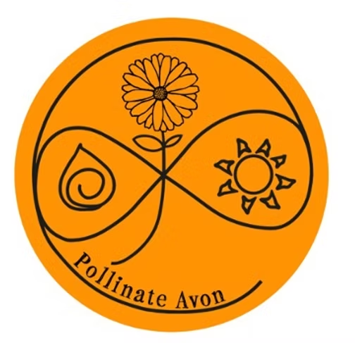Pollinate Avon