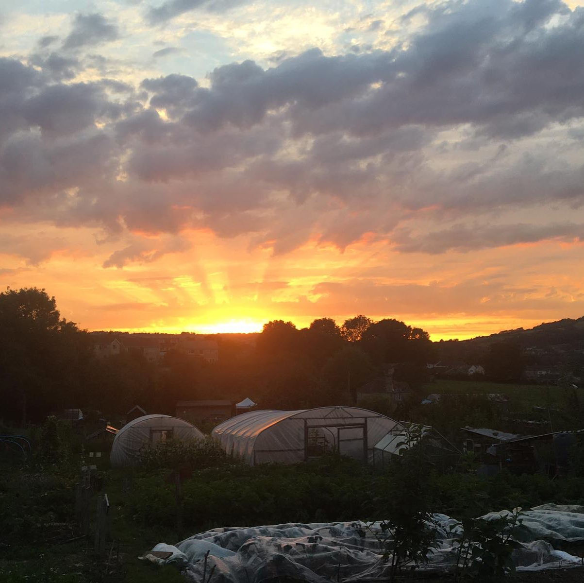 Pre-figurative Farming