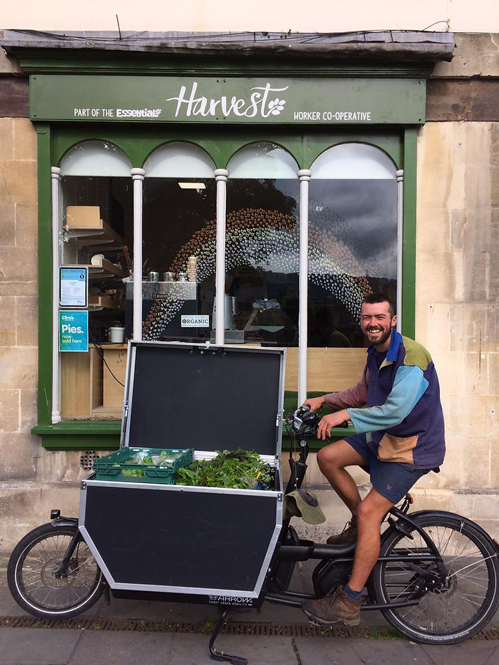 Introducing… Bath’s renewable farm!